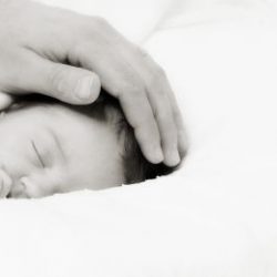 dsc_7895_-_version_2_-_version_2_-_version_2_20110624034849